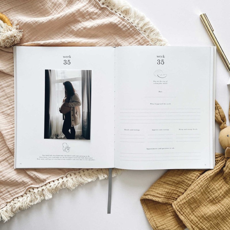 Linen Fabric Pregnancy journal