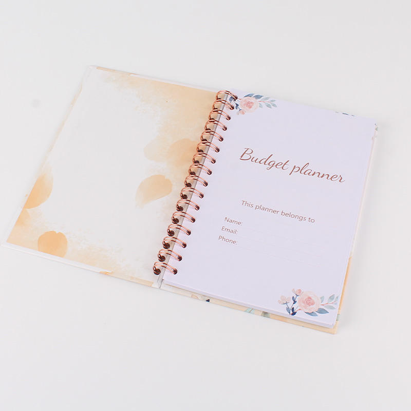 Budget planner