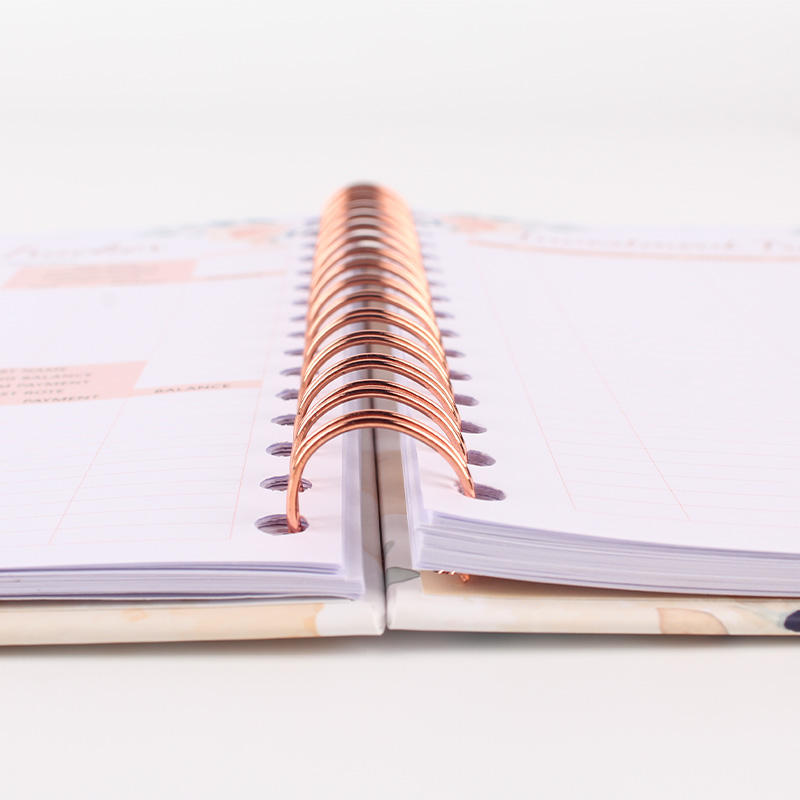 Budget planner