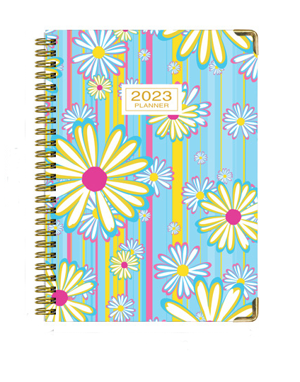 Amazon hot style planners