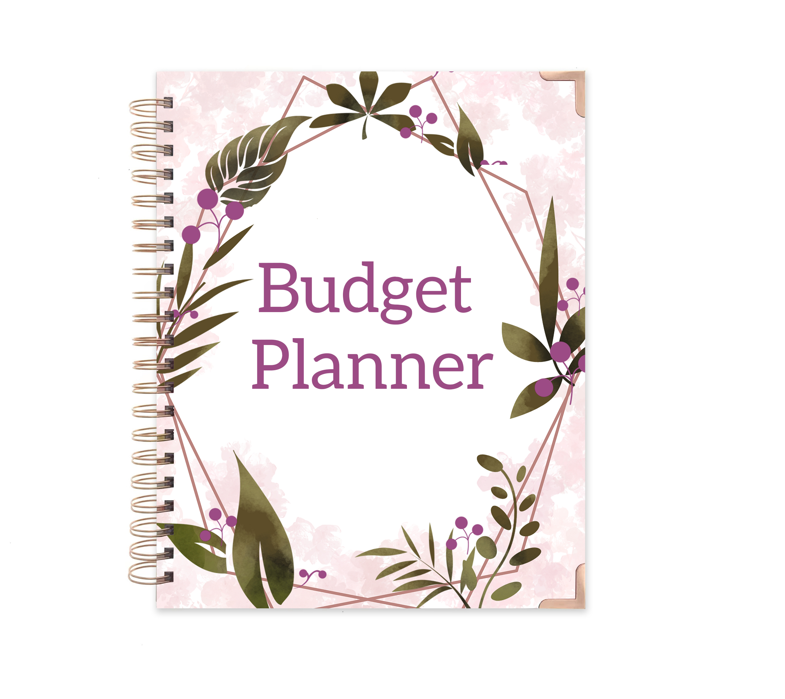 Budget planner